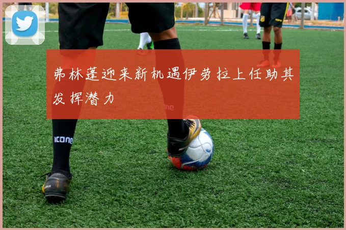 弗林蓬迎来新机遇伊劳拉上任助其发挥潜力